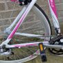 adult Bike  lady's bike road bike Image 2