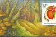 2008 Ireland Fauna and Flora Fungi Commemorative Stamp Miniature Sheet Mint Never Hinged (MNH)