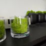Glass vases x 3 with artificial moss Image 10