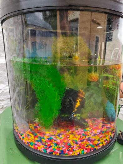 Fish Tank