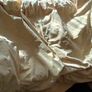 Curtains Fully lined Image 2