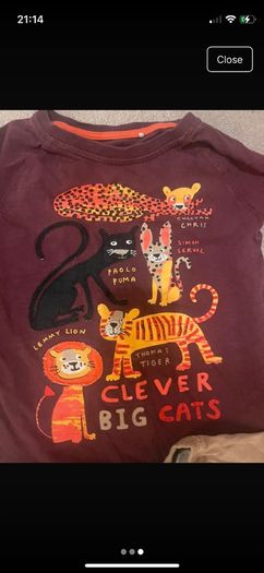 Bundle of boys 7 long sleeved T-shirts T-shirts tops age 4-5