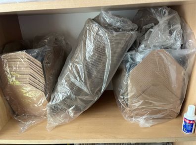 Compostable food containers takeaway