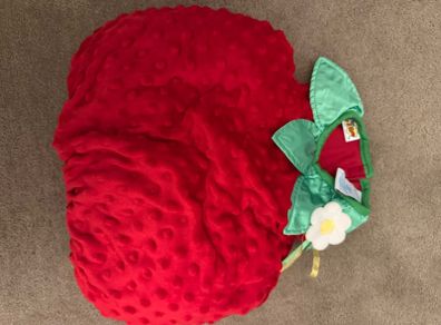 Strawberry halloween costume