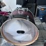 Pearl Decade Maple Image 9