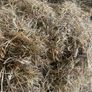 Hay For Sale Image 3