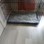 Large Dog Crate Image 2
