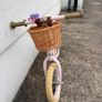 Balance Bike Image 2
