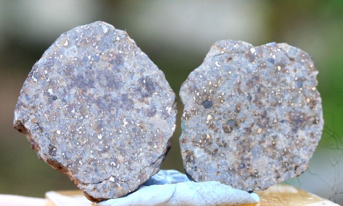 Meteorite 14.68 grams NWA 869 cut in 2