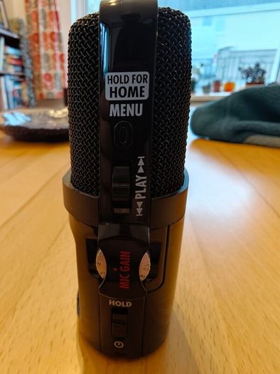 Zoom H2n