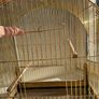 Antique vintage gold bird cage Image 3