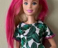 Barbie with Pink Highlights