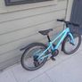 Ridgeback Dimension 20 Image 2