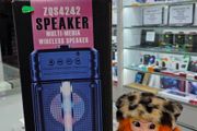 ZQS4242 Multimedia Wireless Speaker