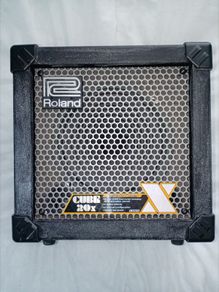 Amplifier/Speaker