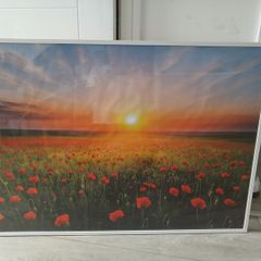 Beautiful picture