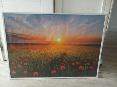 Beautiful picture