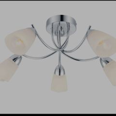 Brand New ceiling light