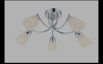 Brand New ceiling light