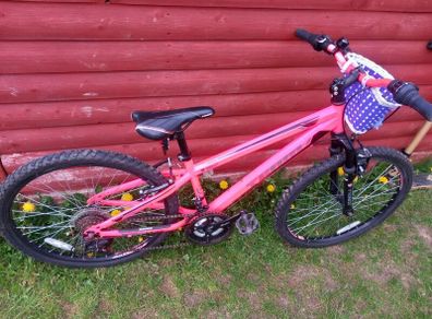Girl's Bike