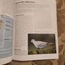 Garden Bird Behaviour. Robert Burton. How To Recognise And Everyday Bird Activities. First Edition Large Volume Paperback In Good Condition. Image 7