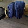 free clothes Image 2