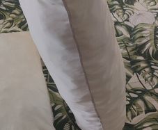 2 Bed pillows