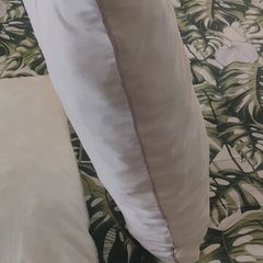 2 Bed pillows