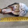 Vintage Antique Religious Mary Our Lady Of Grace Porcelain Holy Water Font Made in  Germany. Image 10