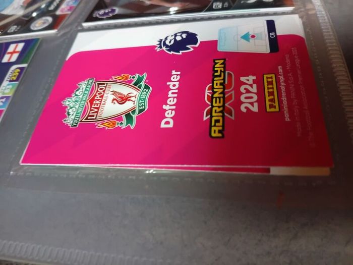 Virgil van Dijk Silver Limited Edition Panini Football Card