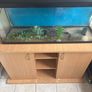 fish tank Image 3
