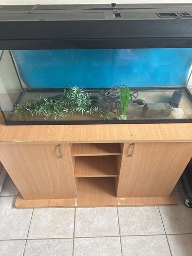 fish tank