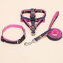 Dog harness+ more sold job lot or in pieces 200 dog harness+ accessories Image 7
