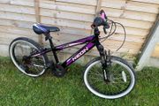 20" inch girl bike