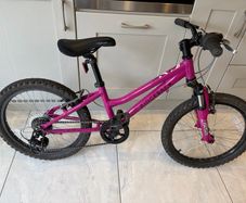 Ridgeback Harmony 20 inch