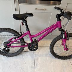 Ridgeback Harmony 20 inch
