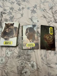 Animals Of Dublin Zoo Knorr Soup Card Set