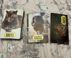Animals Of Dublin Zoo Knorr Soup Card Set