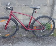 trek bike