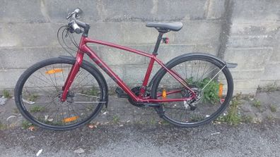 trek bike