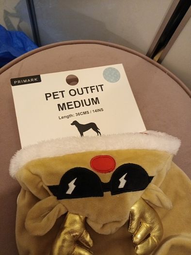 Velour reindeer festive dog coat