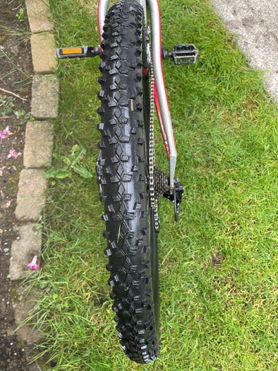 Carrera Mountain Bike silver/red