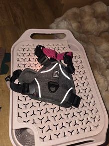 Dog Harness