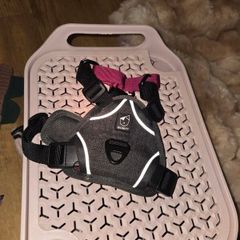 Dog Harness