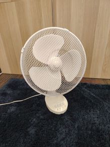 Fan
