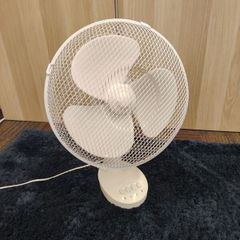 Fan