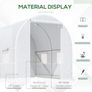 Walk-In Polytunnel Greenhouse Image 4