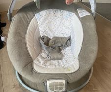 Ingenuity Baby Bouncer