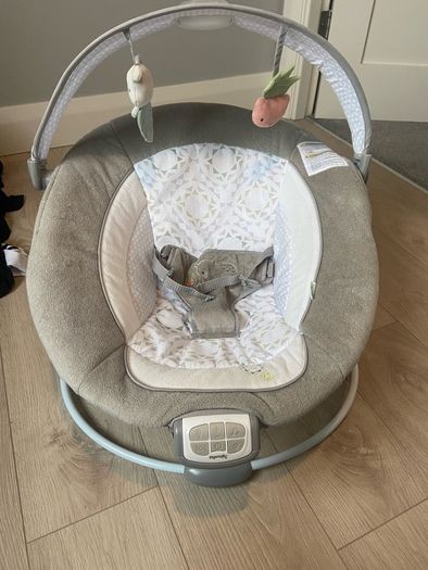 Ingenuity Baby Bouncer