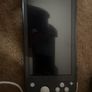 nintendo switch lite Image 3